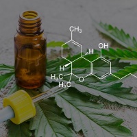 Qualities of CBD Oil You Should Look Out For When Shopping